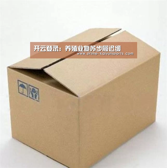开云体育官网