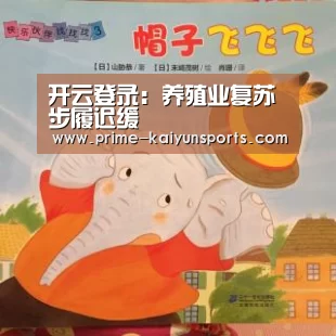 开云体育官网