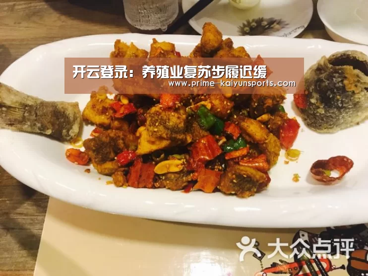 开云体育官网
