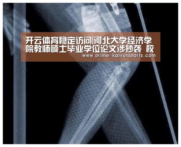 开云体育稳定访问|河北大学经济学院教师硕士毕业学位论文涉抄袭 校方正调查(图4) 开云体育稳定访问