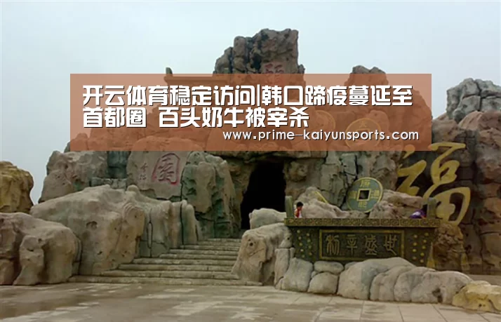开云体育稳定访问|韩口蹄疫蔓延至首都圈 百头奶牛被宰杀(图2) 开云体育官网