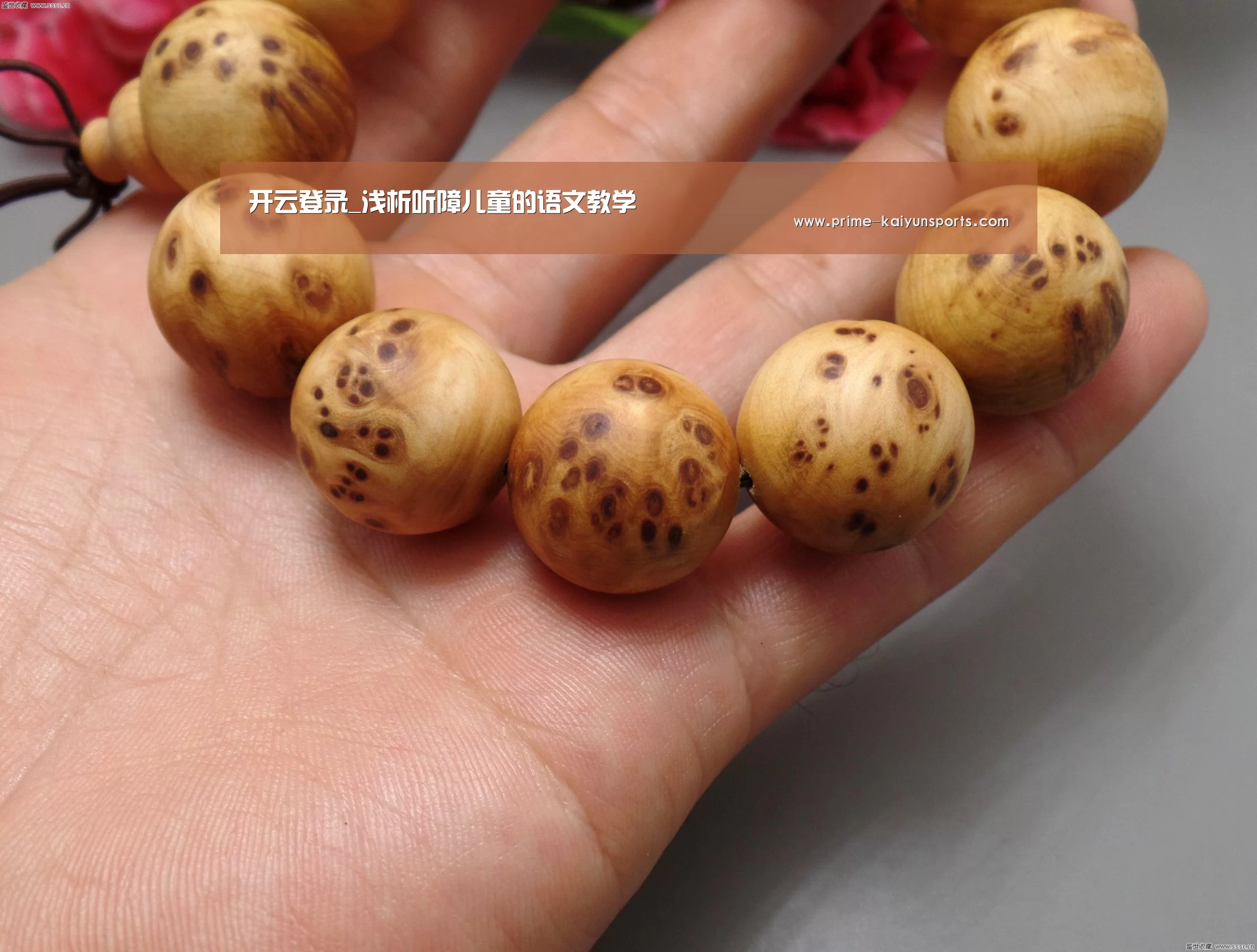 开云登录_浅析听障儿童的语文教学(图1) 开云体育稳定访问