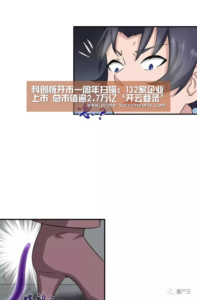 科创板开市一周年扫描:132家企业上市 总市值逾2.7万亿‘开云登录’(图2) 开云体育官方